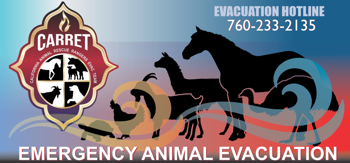 CARRET Animal Rescue Rangers Evac Team